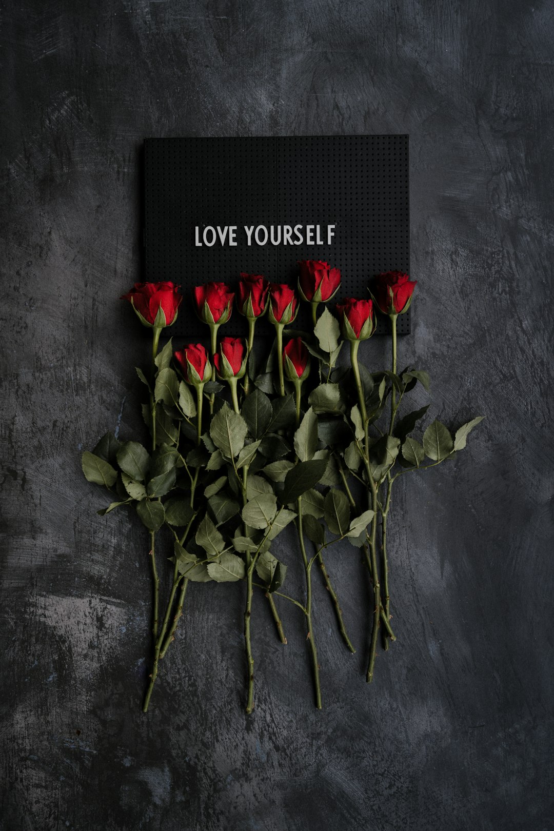 red rose on gray textile